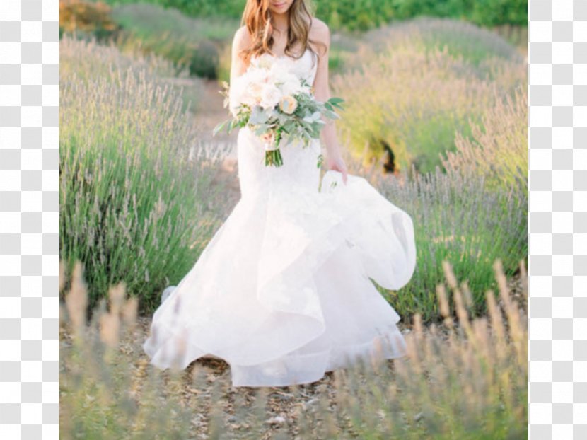 Sonoma Wedding Dress Bride Napa - Green - Blush Floral Transparent PNG