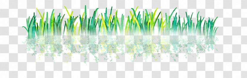 Green Wallpaper - Grass - Cartoon Transparent PNG