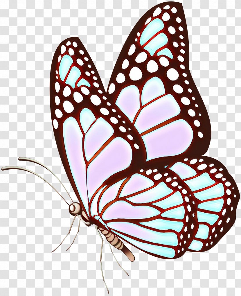 Butterfly Vector Graphics Clip Art Drawing Illustration - Royaltyfree - Stock Photography Transparent PNG