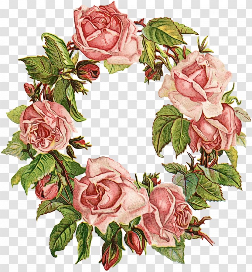 Garden Roses Cabbage Rose Cut Flowers Floral Design - Pink M - Artificial Flower Transparent PNG