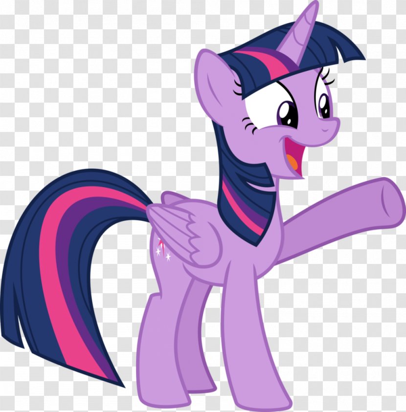 Twilight Sparkle Applejack Pony Rarity Rainbow Dash - Horse - Princess Part 1 Transparent PNG