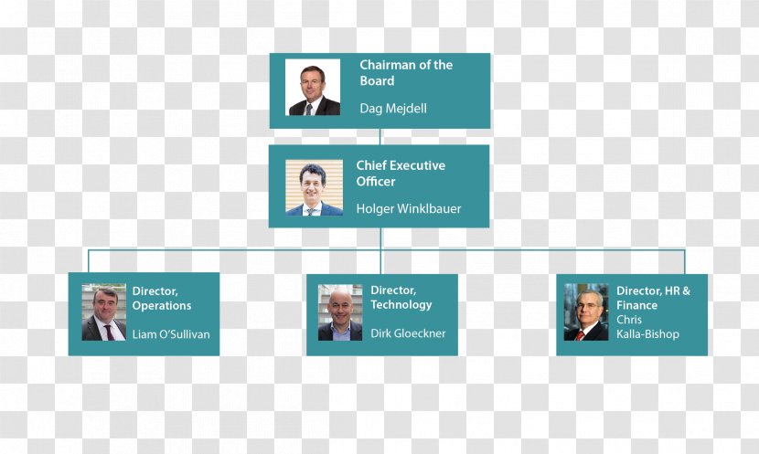 Organizational Chart Senior Management Board Of Directors Chief Executive - Marketing - Leading To The Road Ahead Transparent PNG