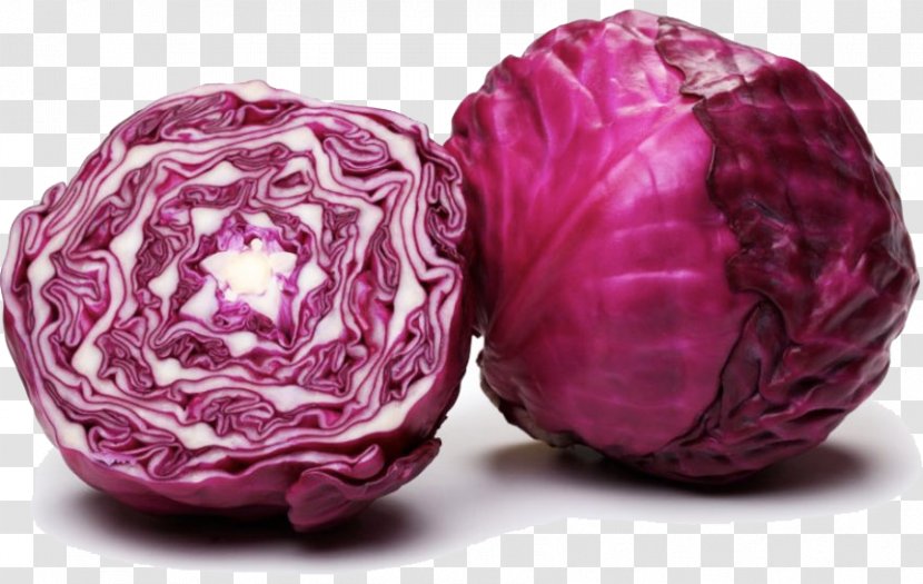 Red Cabbage Capitata Group Brussels Sprout Mulberry Vegetable Transparent PNG