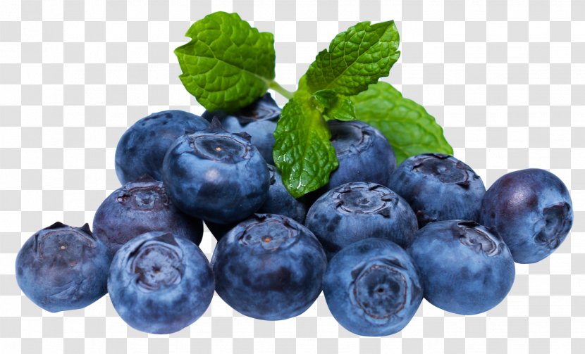 Blueberry Fruit - Local Food - Blueberries Transparent PNG
