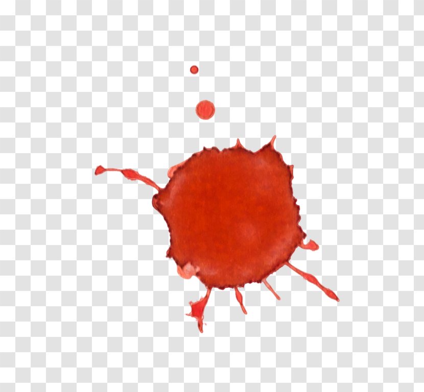 Blood - Organism Transparent PNG