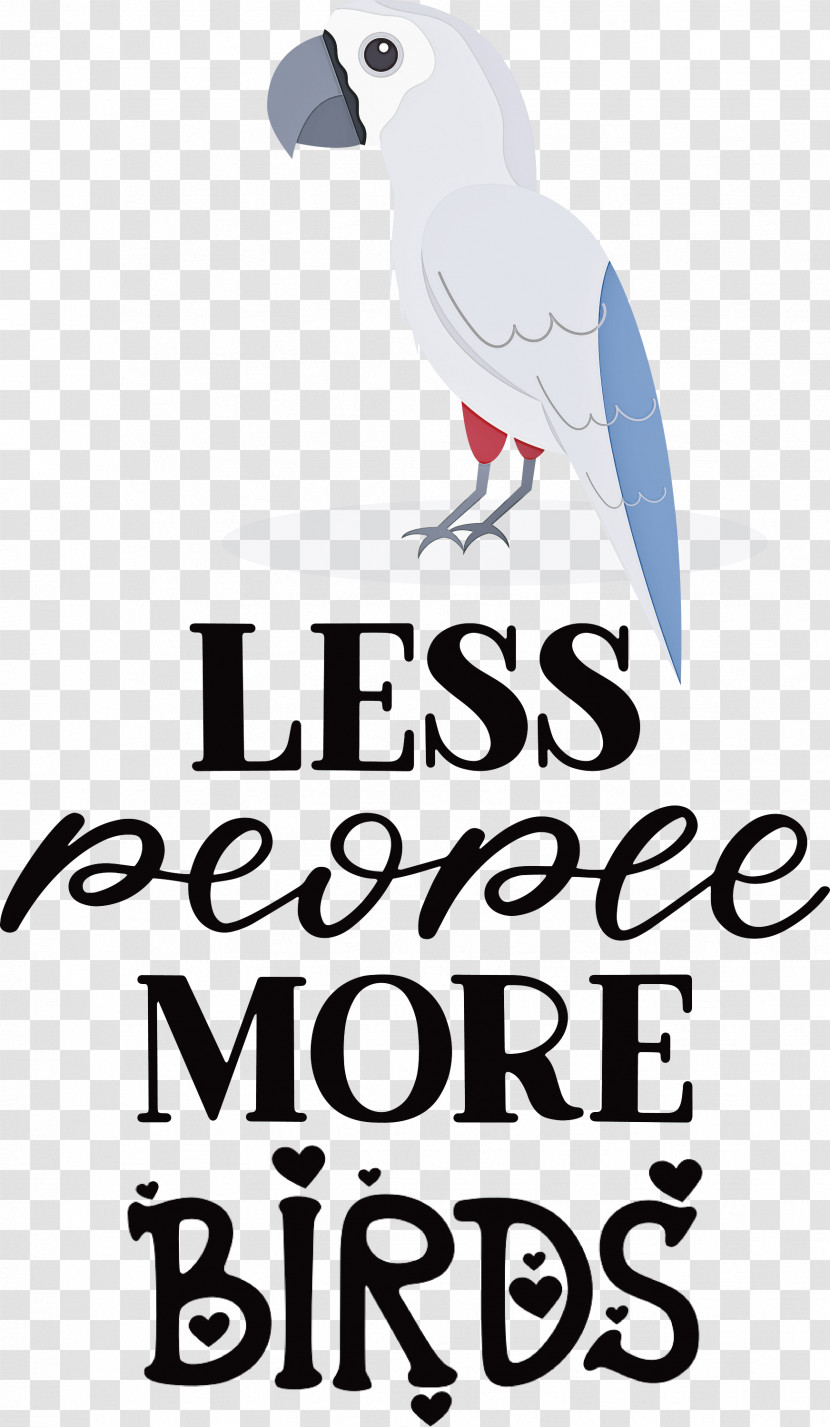 Less People More Birds Birds Transparent PNG