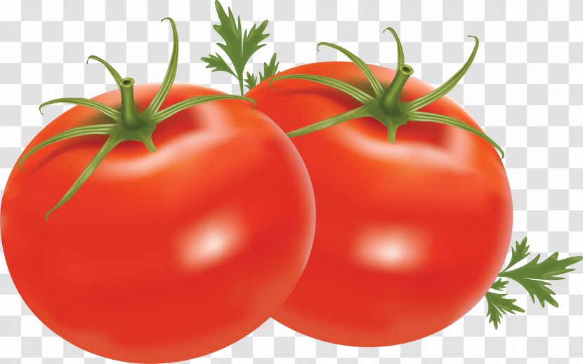 Vegetable Cherry Tomato Fruit Clip Art - Vegetarian Food - Tomatoes Transparent PNG