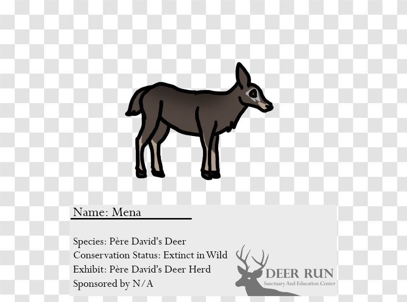 Cattle Deer Horse Goat Dog Transparent PNG
