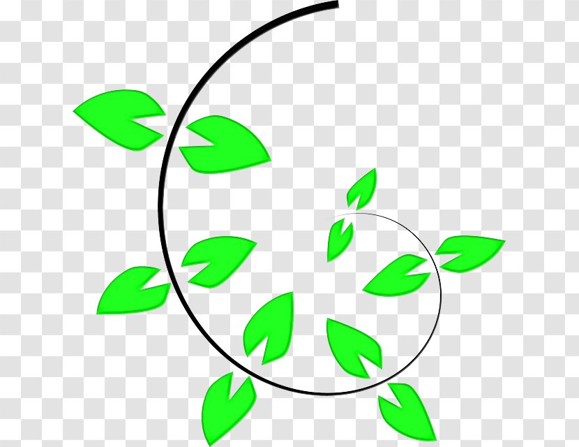 Line Art Plant Stem Green Leaf - Flower Transparent PNG