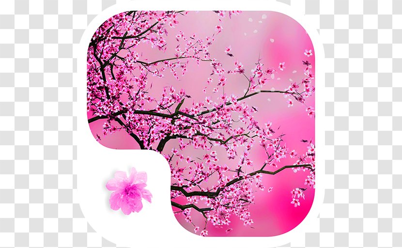 Cherry Blossom Desktop Wallpaper Red Jigsaw Puzzle - Magenta Transparent PNG