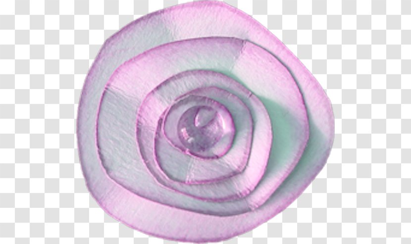 Circle Spiral - Petal Transparent PNG