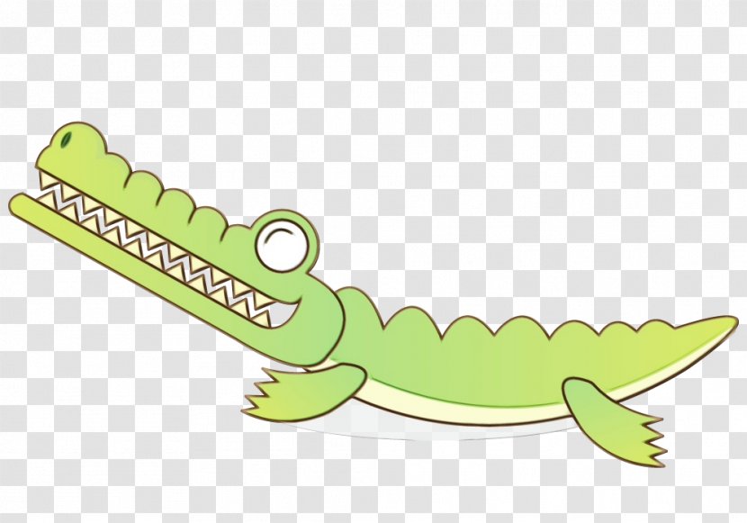Alligators Crocodile Amphibians Jaw Fauna - Reptile - Saltwater Transparent PNG