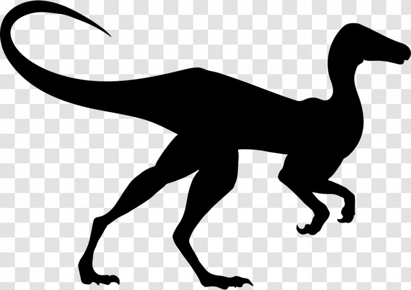 Compsognathus Diplodocus - Terrestrial Animal - Dinosaur Transparent PNG