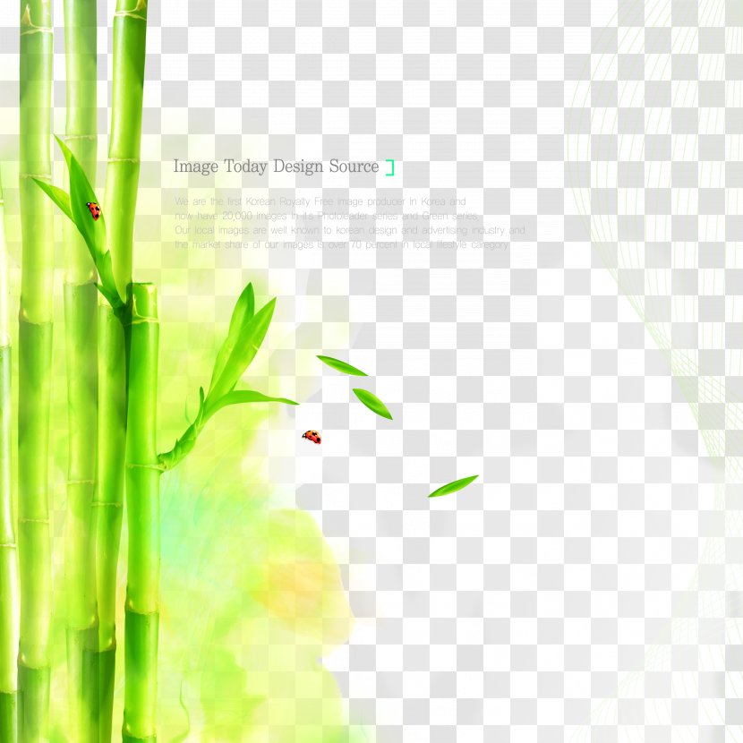 Graphic Design Poster - Energy - Cosmetics Bamboo Background Material Transparent PNG