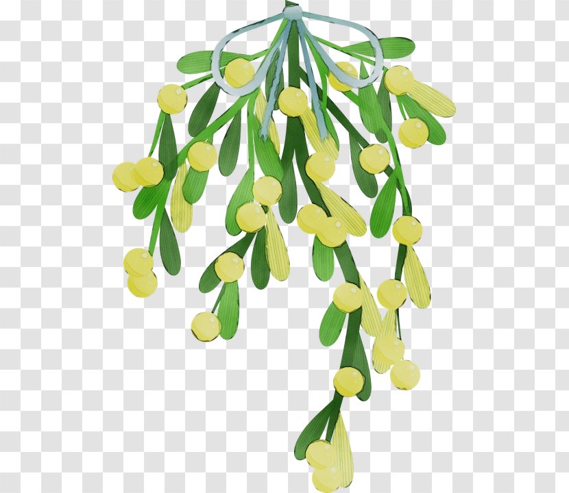 Watercolor Christmas Tree - Clothing Accessories - Plant Stem Flowering Transparent PNG