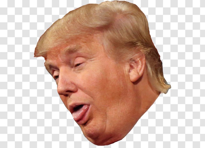 Donald Trump President Of The United States Democratic Party Organization - Jimmy Carter Transparent PNG