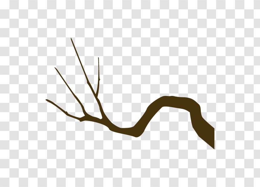 Twig Line Angle Clip Art Plant Stem - Leaf - Branch Transparent PNG