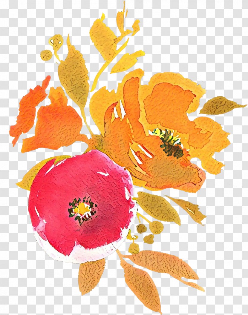 Orange - Petal - Poppy Family Wildflower Transparent PNG