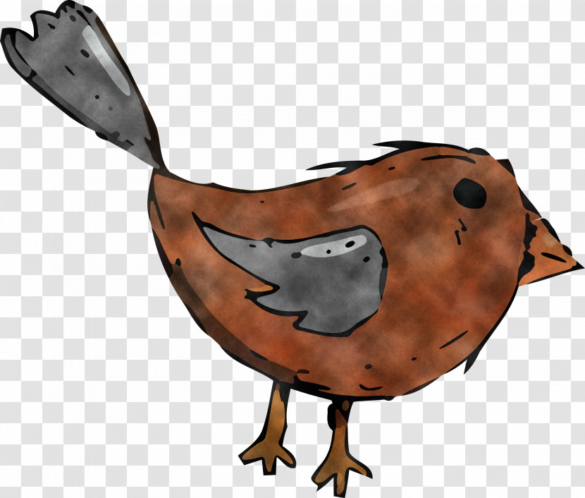 Landfowl Duck Beak Birds Rooster Transparent PNG