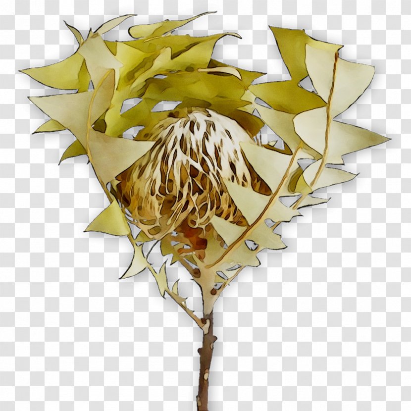 Leaf Flowering Plant Plants - Tree Transparent PNG