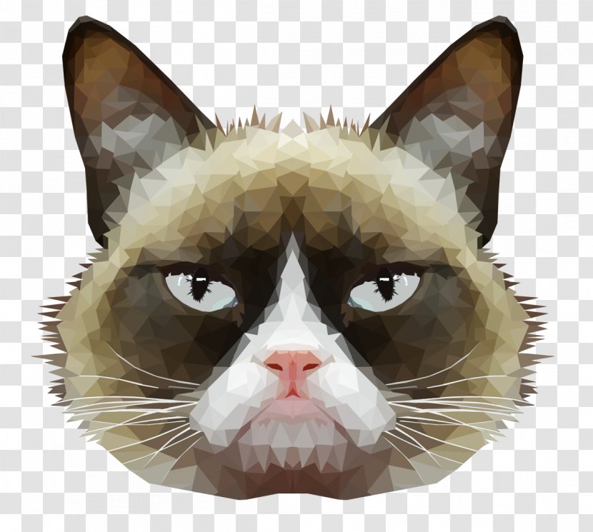 American Wirehair Grumpy Cat Whiskers Domestic Short-haired Mouse - Face - Cats Transparent PNG