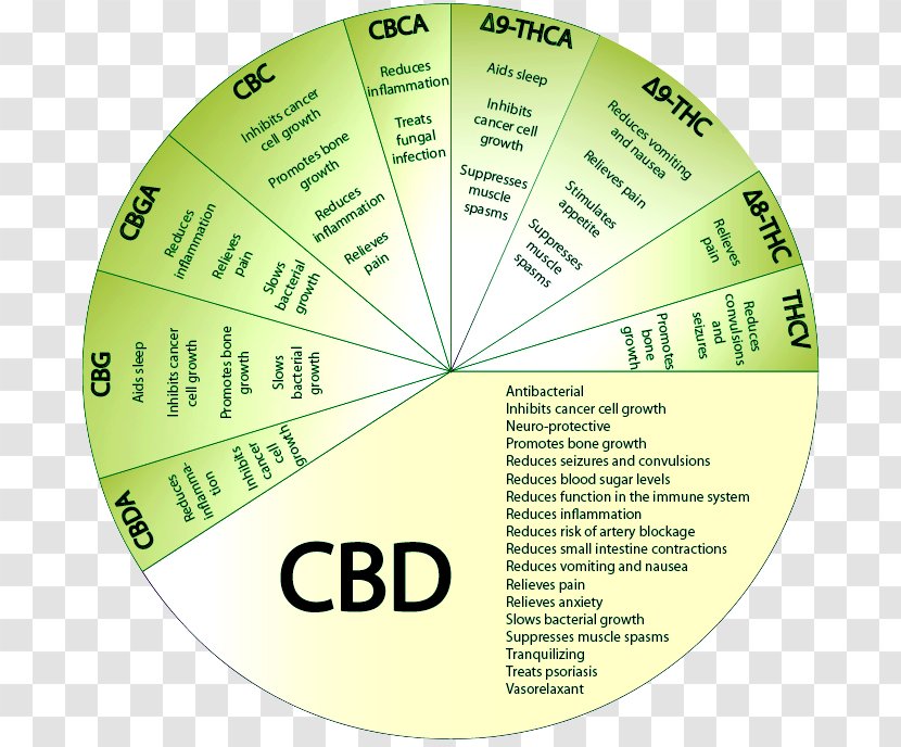 Cannabidiol Effects Of Cannabis Cannabinoid Vaporizer Psychoactive Drug - Green Transparent PNG
