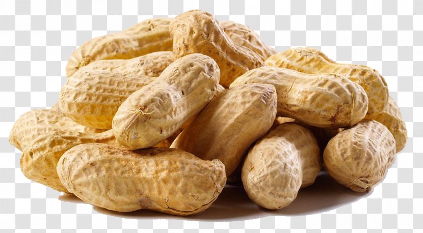 Georgia Peanut Allergy Alabama - Food - Health Transparent PNG