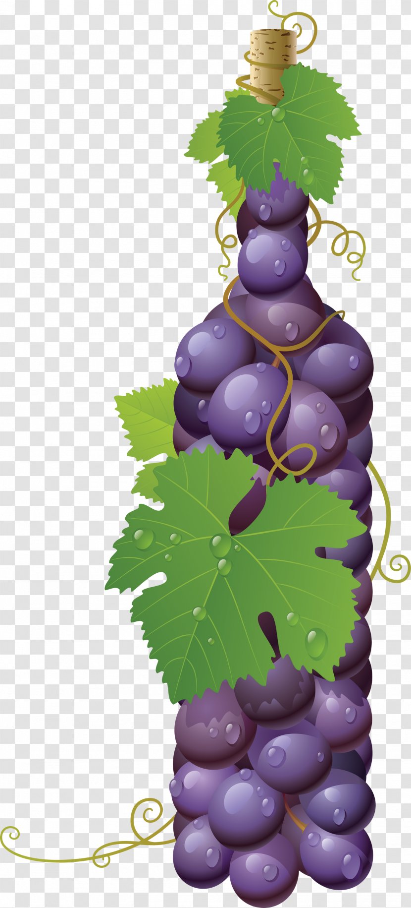 Common Grape Vine Wine Must - Produce - Image Transparent PNG