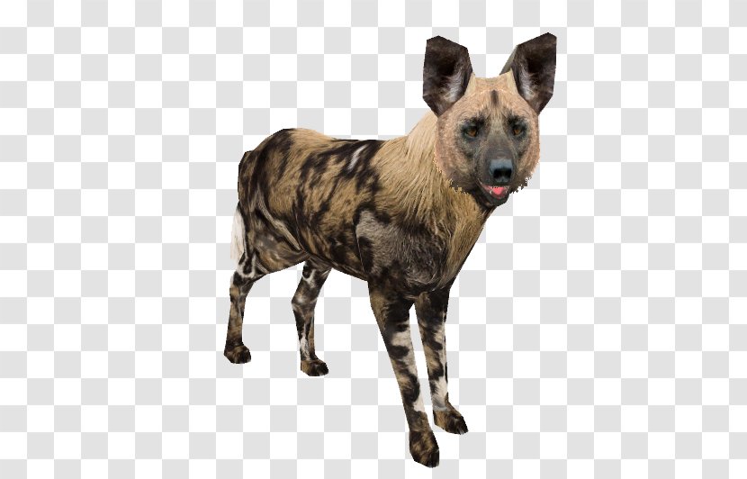 African Wild Dog Dhole Breed Zoo Tycoon 2: Marine Mania Transparent PNG