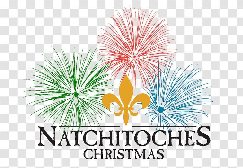 Natchitoches Christmas Festival Cane River Holiday Trail Of Lights - Flower Transparent PNG