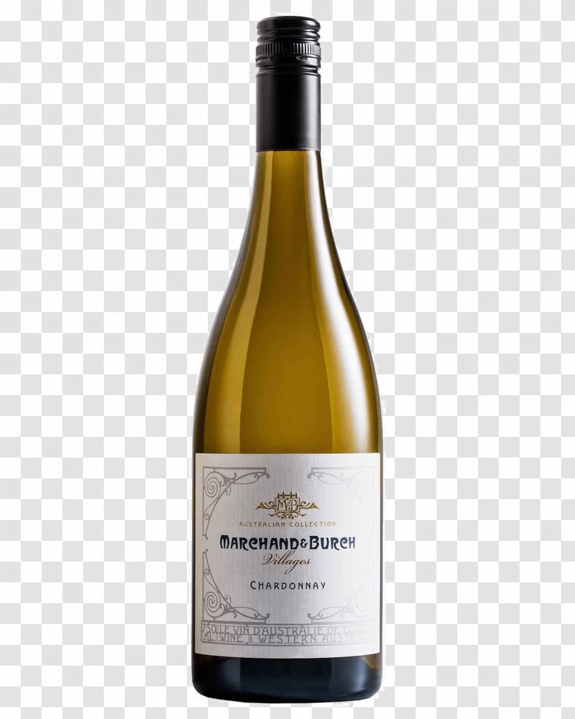 White Wine Pecorino Chardonnay Pinot Noir - Common Grape Vine Transparent PNG