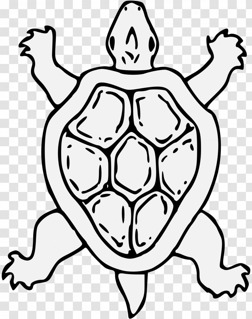 Heraldry Tortoise Art Turtle Reptile - Cartoon Transparent PNG