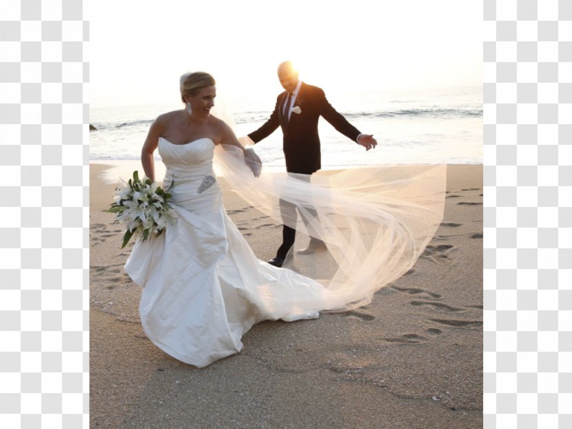 Wedding Dress Bride Photography Transparent PNG