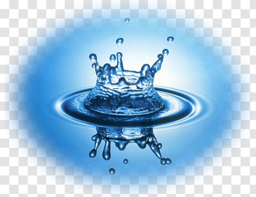 Water Storage Quitman City Pool Food Drinking - Life Transparent PNG