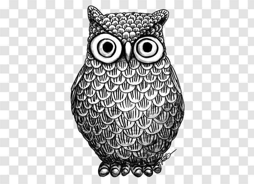Black-and-white Owl Drawing Black And White Bird Transparent PNG