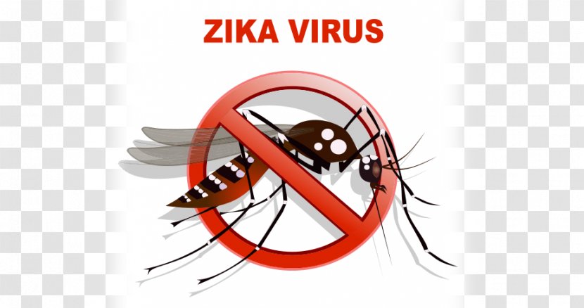 Yellow Fever Mosquito Zika Virus Dengue Transmission Transparent PNG