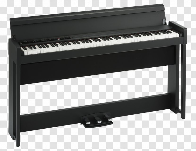 Digital Piano Musical Instruments Korg - Cartoon Transparent PNG