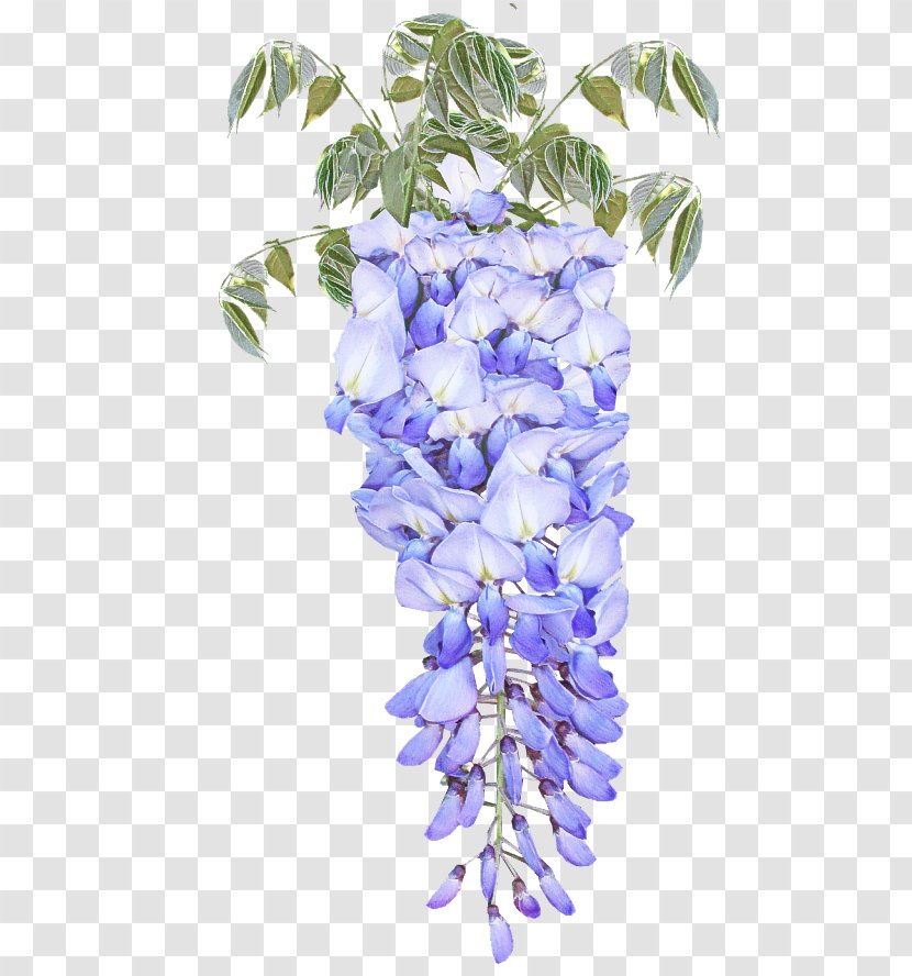Lavender - Petal Cut Flowers Transparent PNG