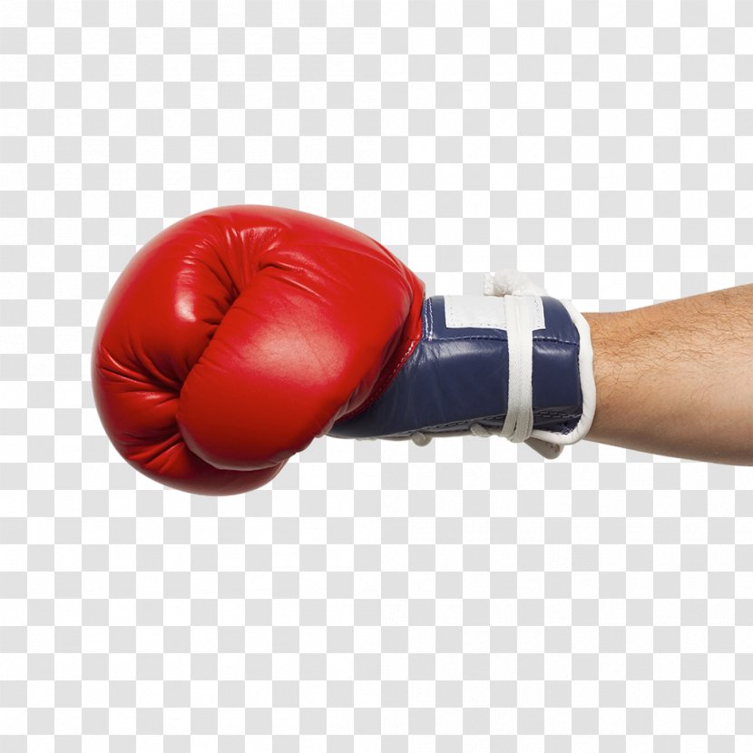 Boxing Glove Everlast - Equipment Transparent PNG