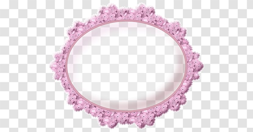 Picture Frames Photography Light - Gentle - Ornamentic Frame Transparent PNG