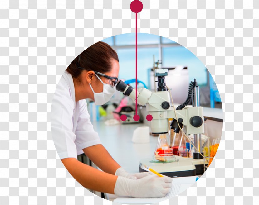 Pathology Medical Diagnosis Medicine Laboratory Health Care - Clinical - Lab Transparent PNG