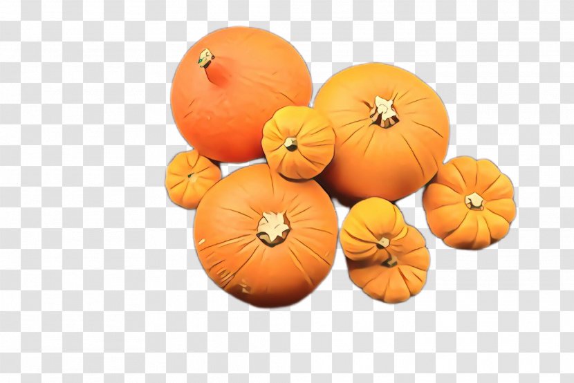 Pumpkin - Squash Plant Transparent PNG