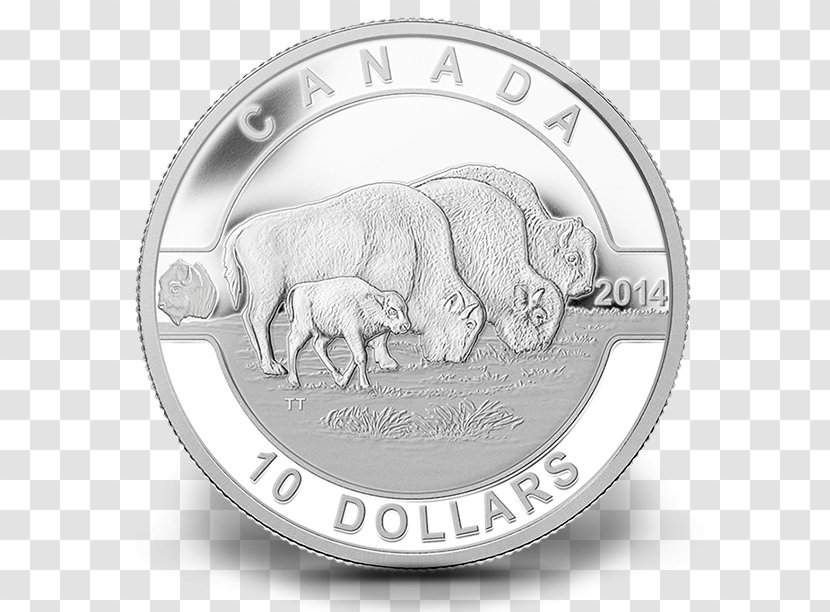 Canada Royal Canadian Mint Silver Coin - Mammal Transparent PNG