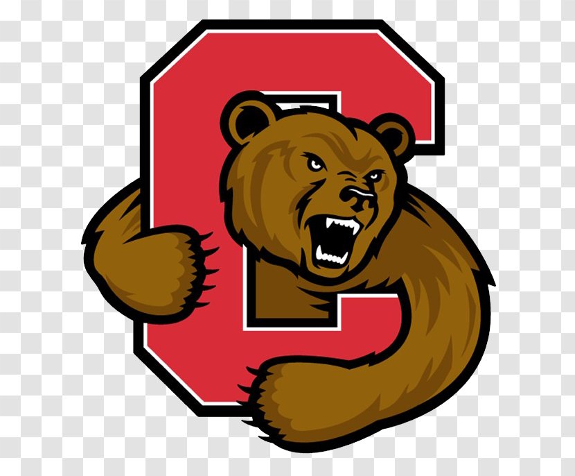 Cornell Big Red Men's Basketball Ice Hockey University Ithaca Football - Division I Ncaa - Women S Transparent PNG