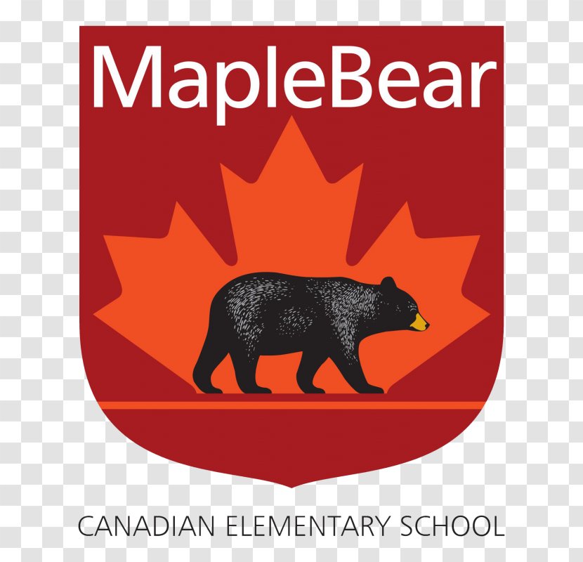 Maple Bear Canadian School Education Pre-school Kindergarten - Child Transparent PNG