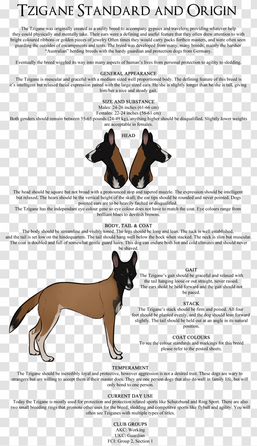 Dog Breed Handout Presentation Font - Mammal Transparent PNG