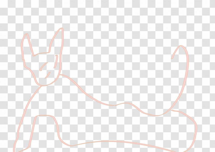 Hare Mammal Cat Drawing - Watercolor Transparent PNG