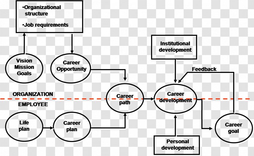 Career Planning Human Resource Management - Canaan Transparent PNG