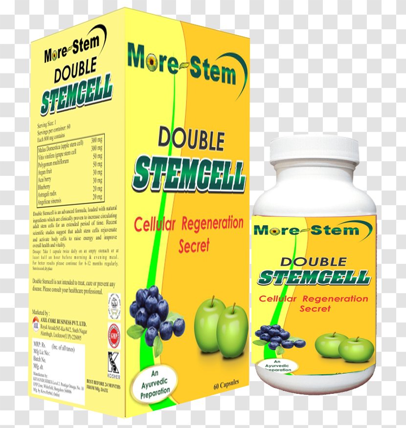 Product Business Stem Cell Direct Selling Pharmaceutical Industry - Capsule Transparent PNG