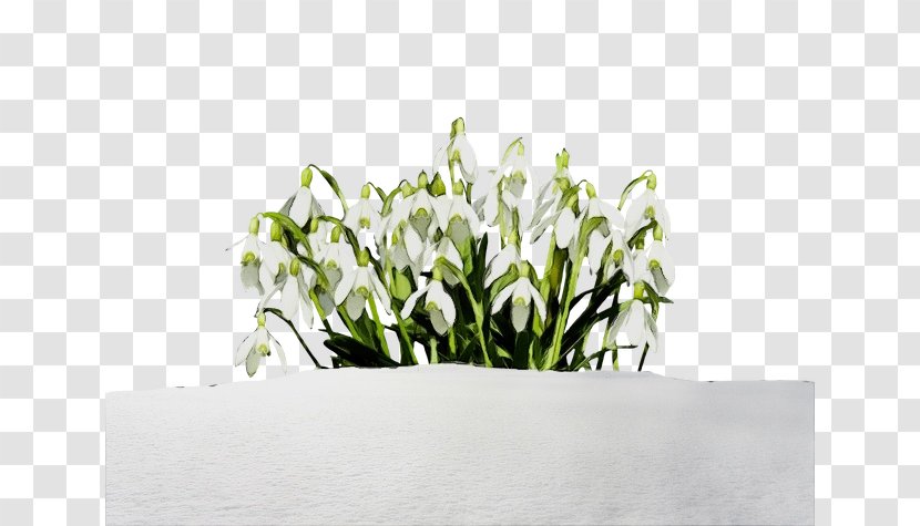 Watercolor Floral Background - Paint - Blackandwhite Plant Stem Transparent PNG